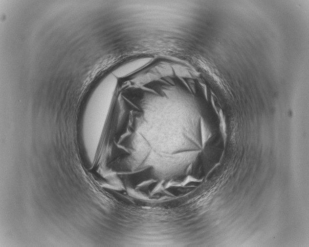 X0000087030685200705071535