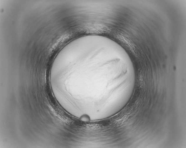 X0000087030686200705071535