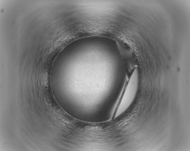 X0000087030689200705071535