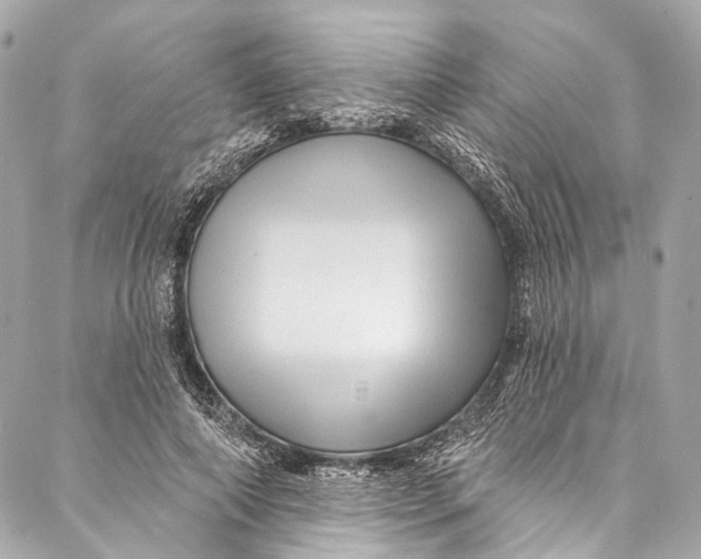 X0000087030690200705071535