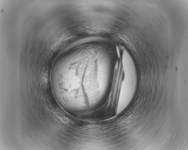 X0000087030691200705071535