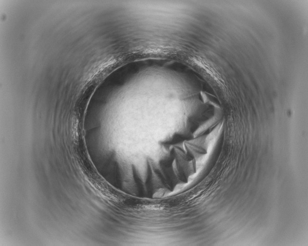 X0000087030692200705071535