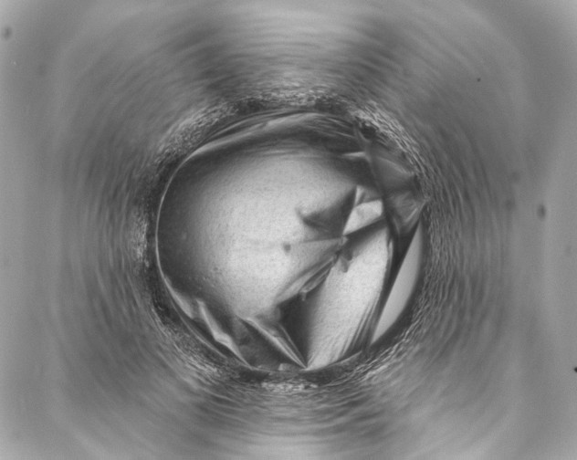 X0000087030693200705071535