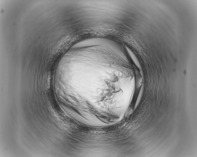 X0000087030694200705071535