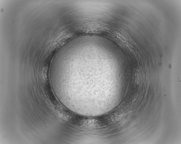 X0000087030695200705071535