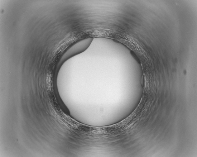 X0000087030696200705071535