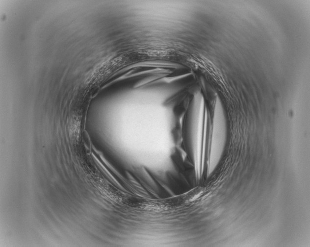 X0000087030697200705071535