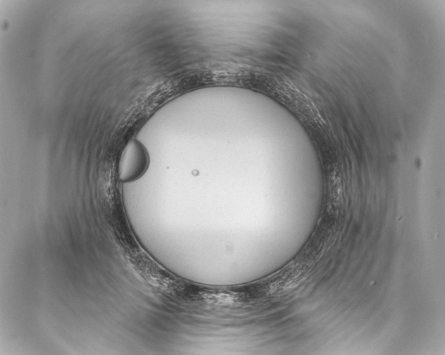 X0000087030698200705071535