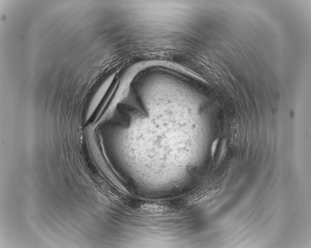 X0000087030699200705071535