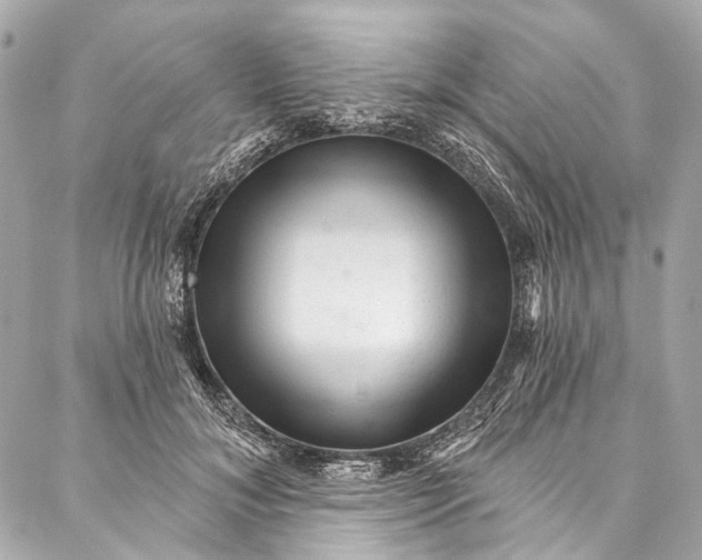 X0000087030700200705071535