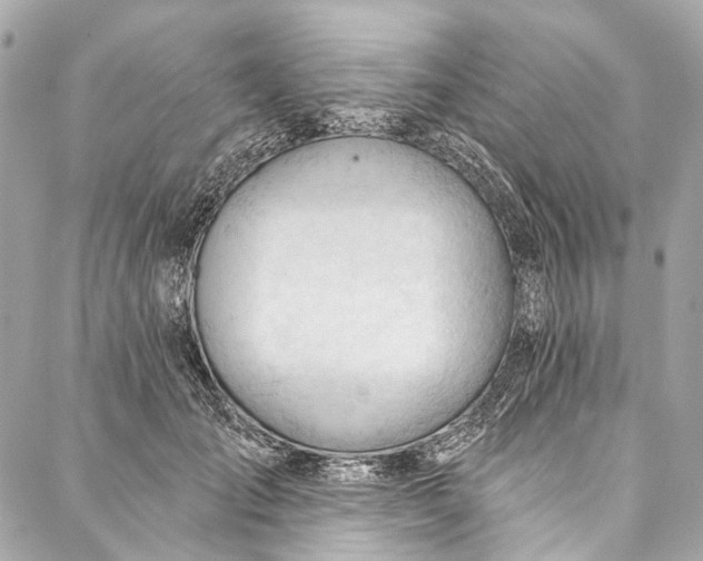 X0000087030701200705071535