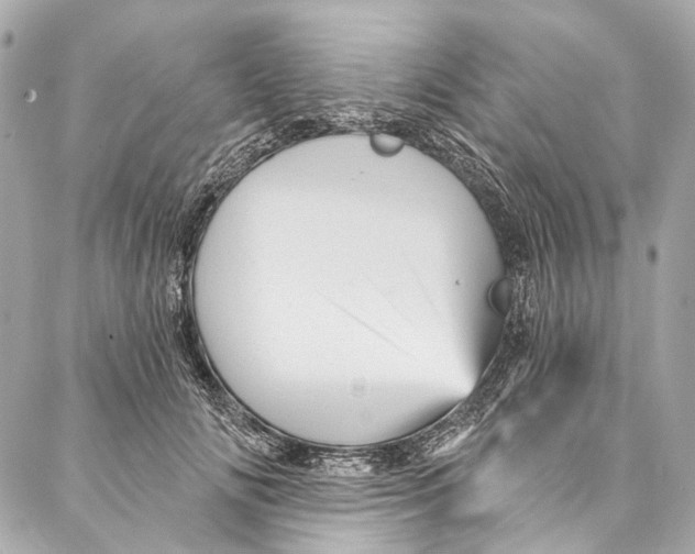 X0000087030702200705071535