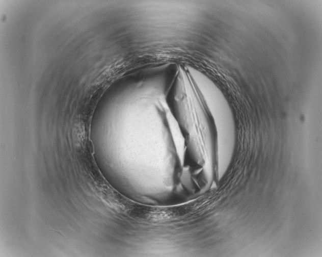 X0000087030704200705071535