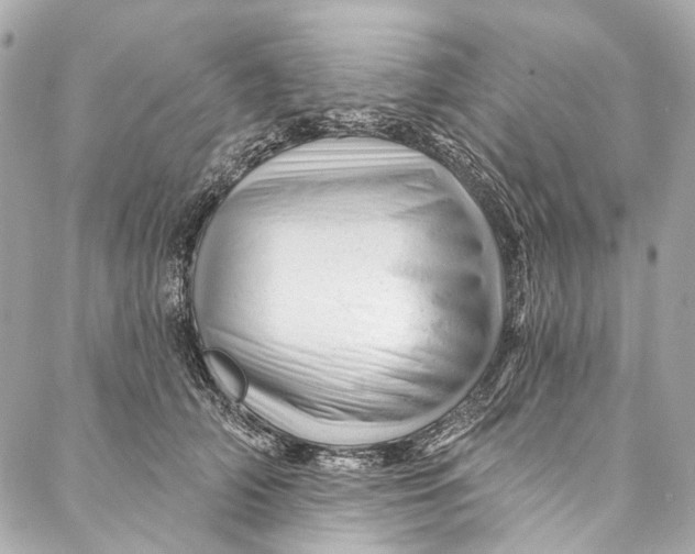 X0000087030706200705071535