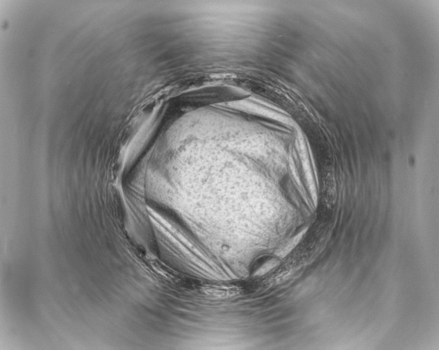 X0000087030707200705071534