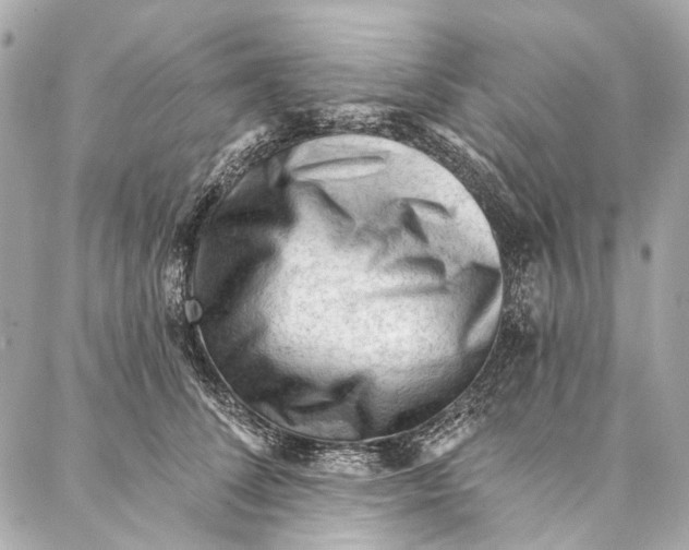 X0000087030708200705071534