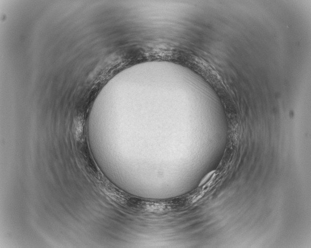 X0000087030709200705071534