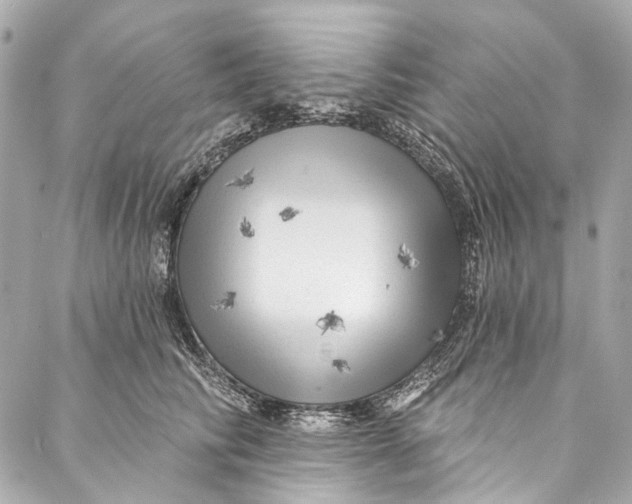 X0000087030710200705071534