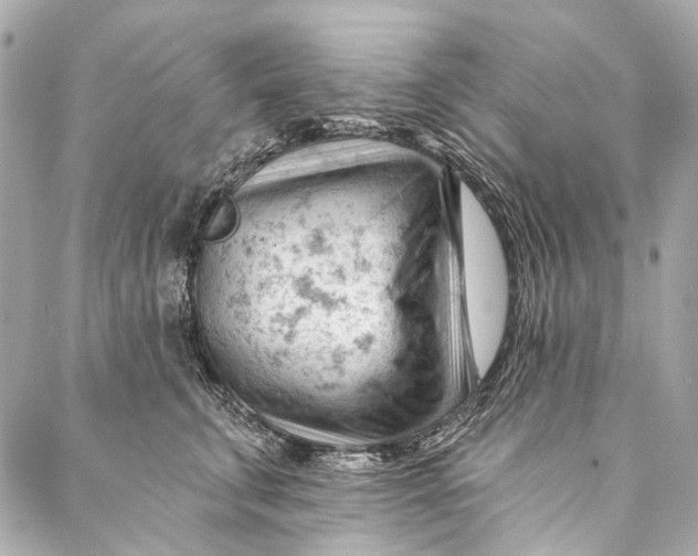 X0000087030711200705071534