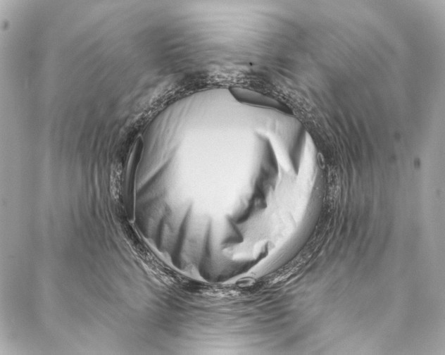 X0000087030712200705071534