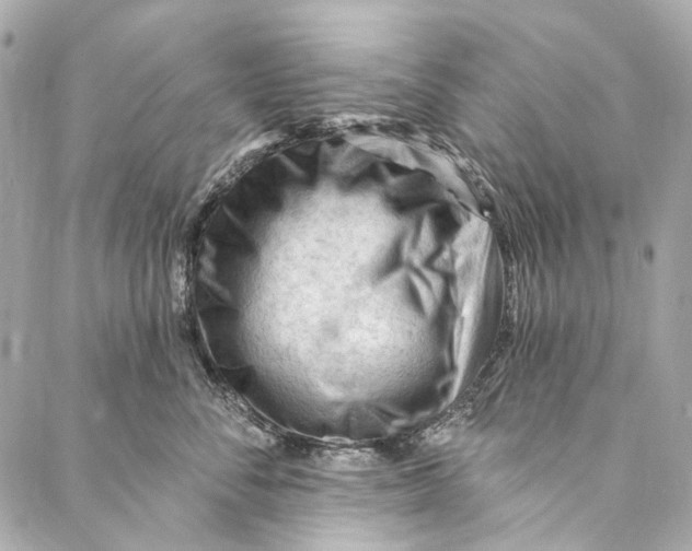 X0000087030716200705071534