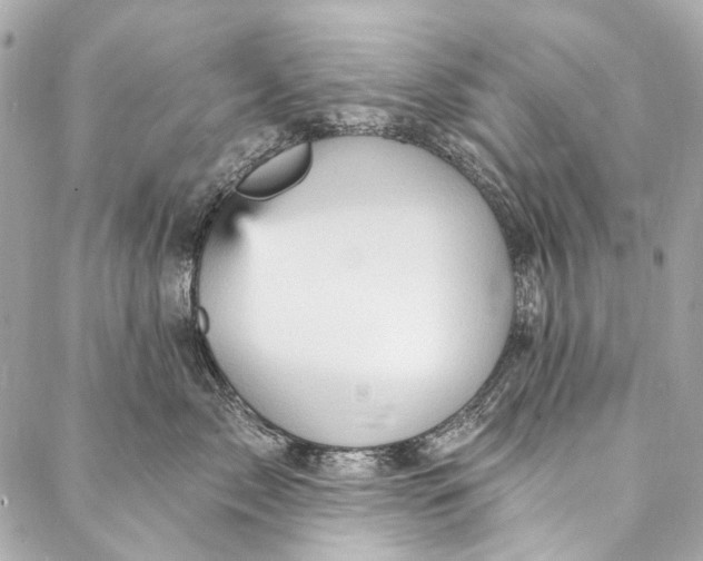 X0000087030717200705071534