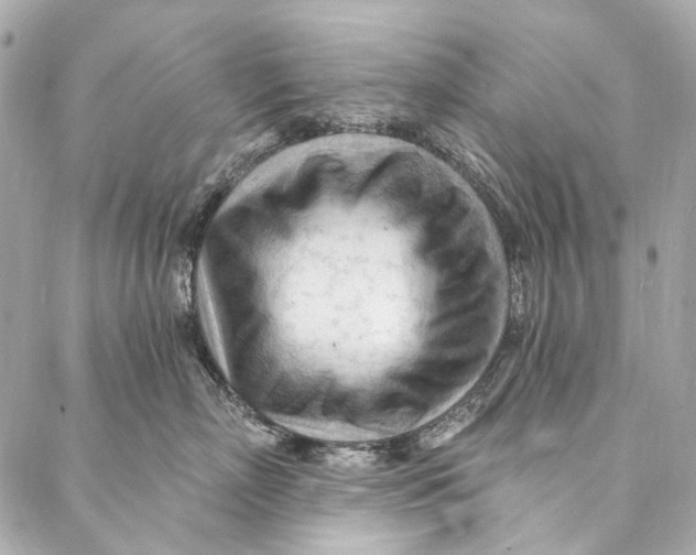 X0000087030718200705071534