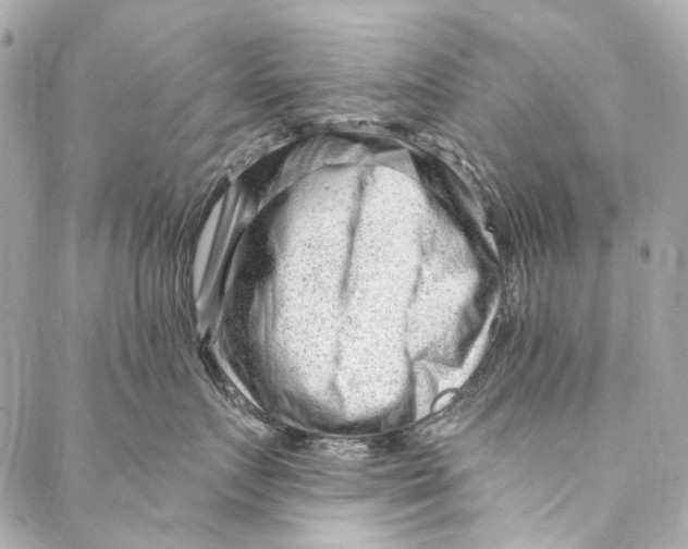 X0000087030719200705071534