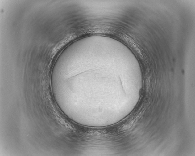 X0000087030721200705071534