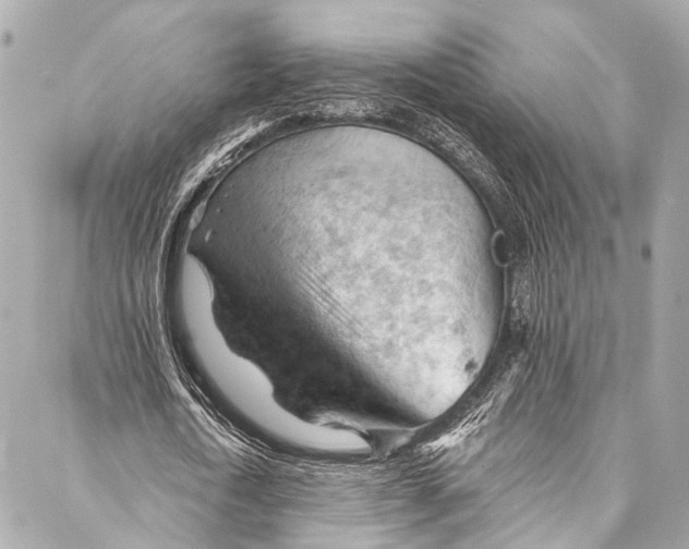 X0000087030722200705071534