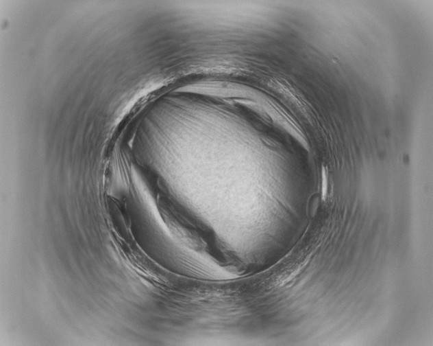 X0000087030723200705071534