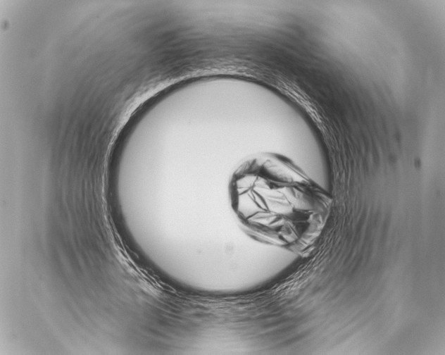 X0000087030724200705071534