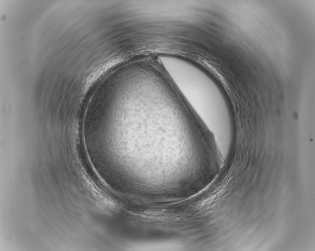 X0000087030725200705071534