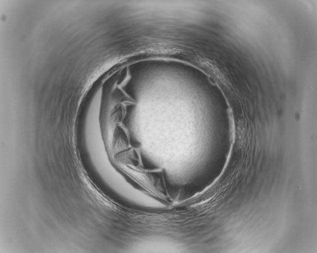 X0000087030726200705071534