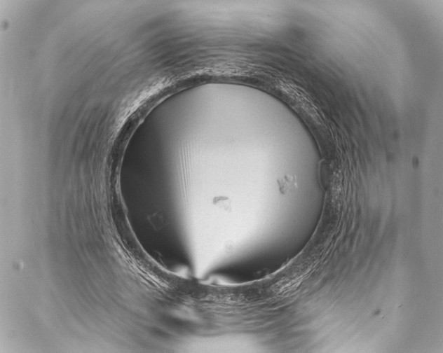 X0000087030727200705071534