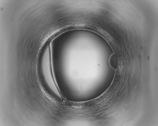 X0000087030728200705071534