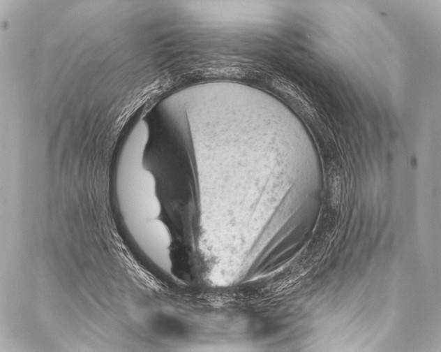 X0000087030729200705071534