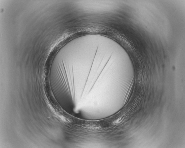 X0000087030730200705071534