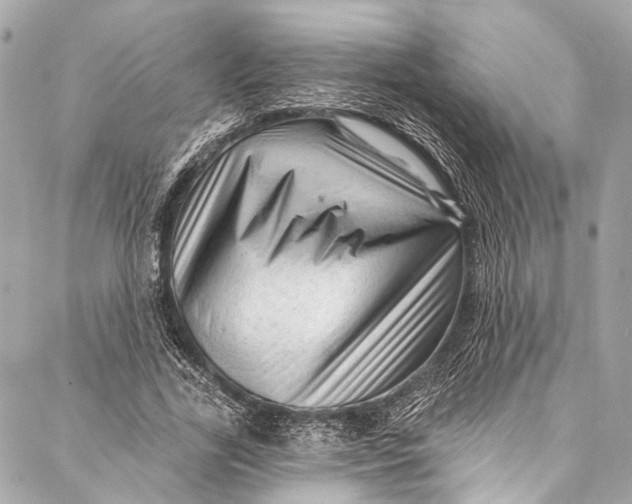 X0000087030731200705071534