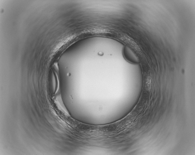 X0000087030732200705071534