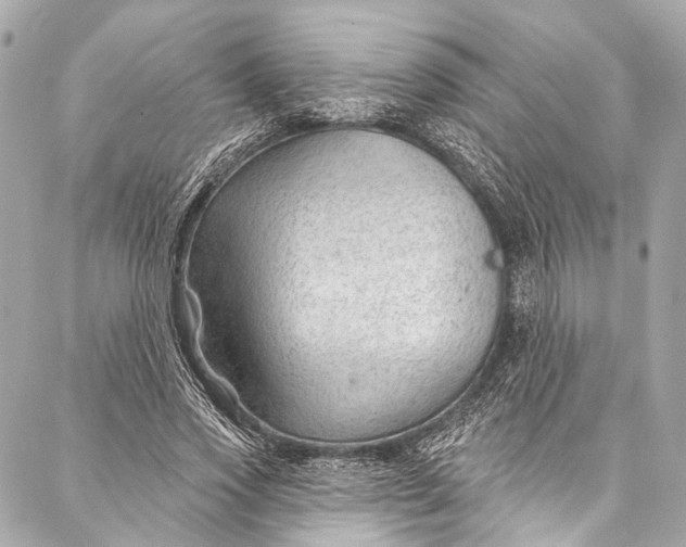 X0000087030733200705071534