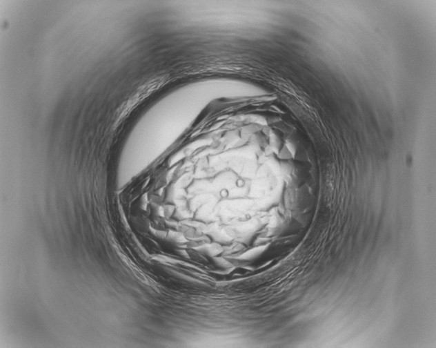 X0000087030734200705071534