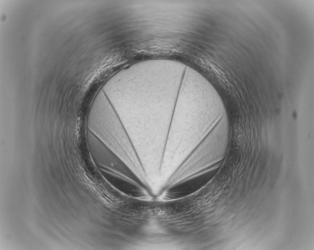 X0000087030735200705071534