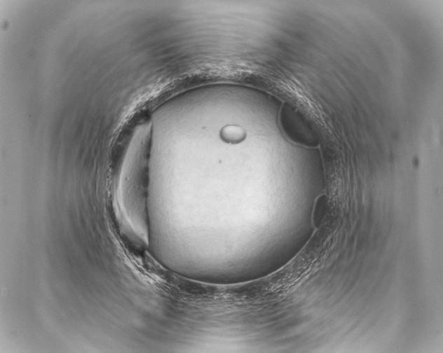 X0000087030736200705071534