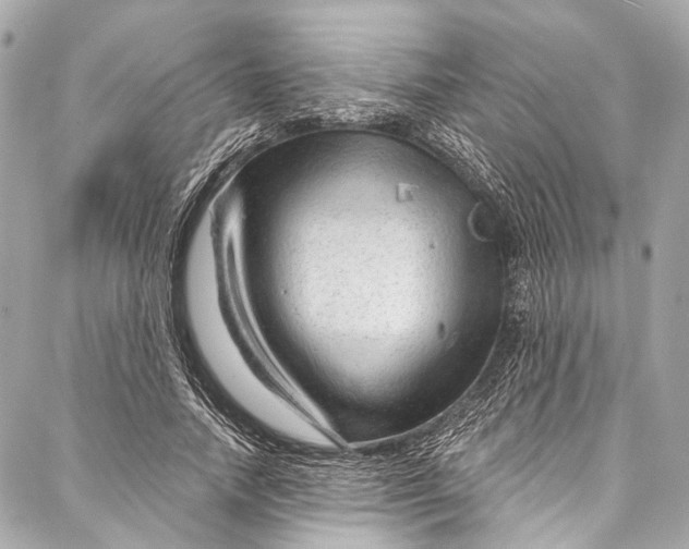 X0000087030738200705071534