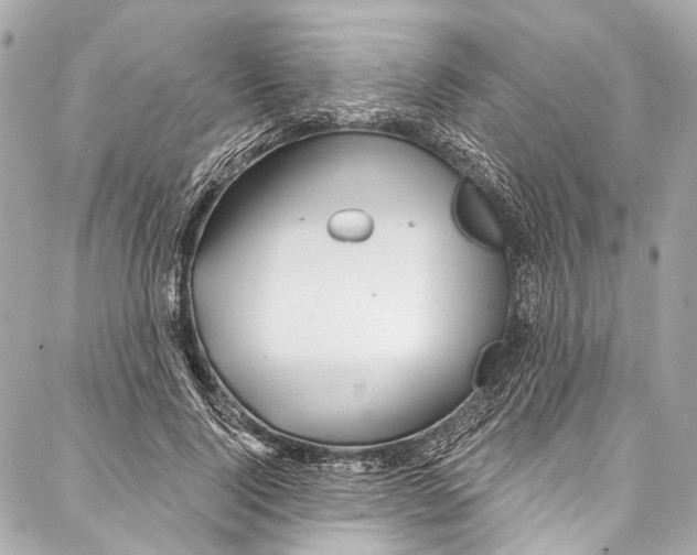 X0000087030740200705071534