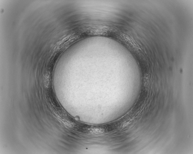 X0000087030741200705071534