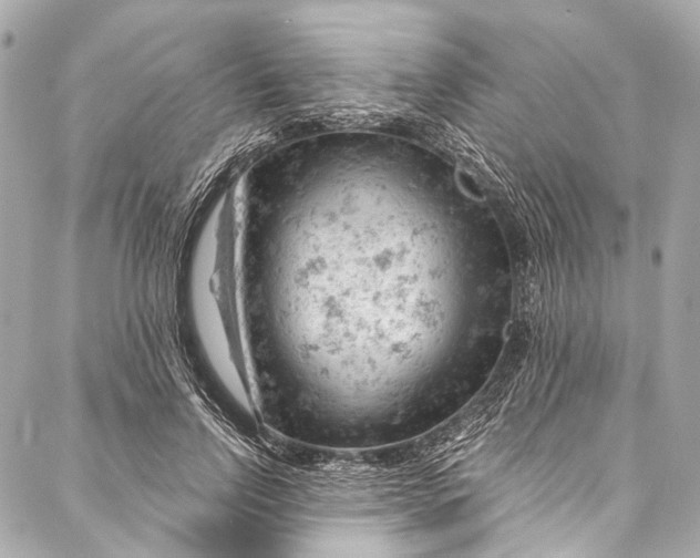 X0000087030742200705071534