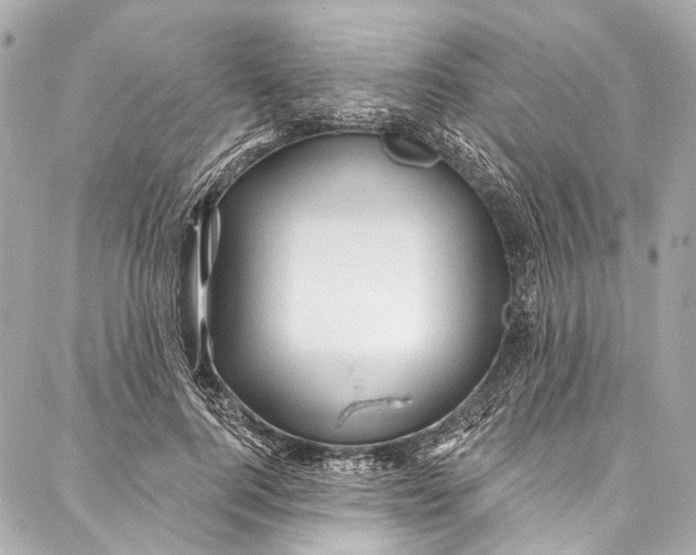 X0000087030744200705071534