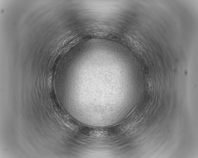 X0000087030745200705071534